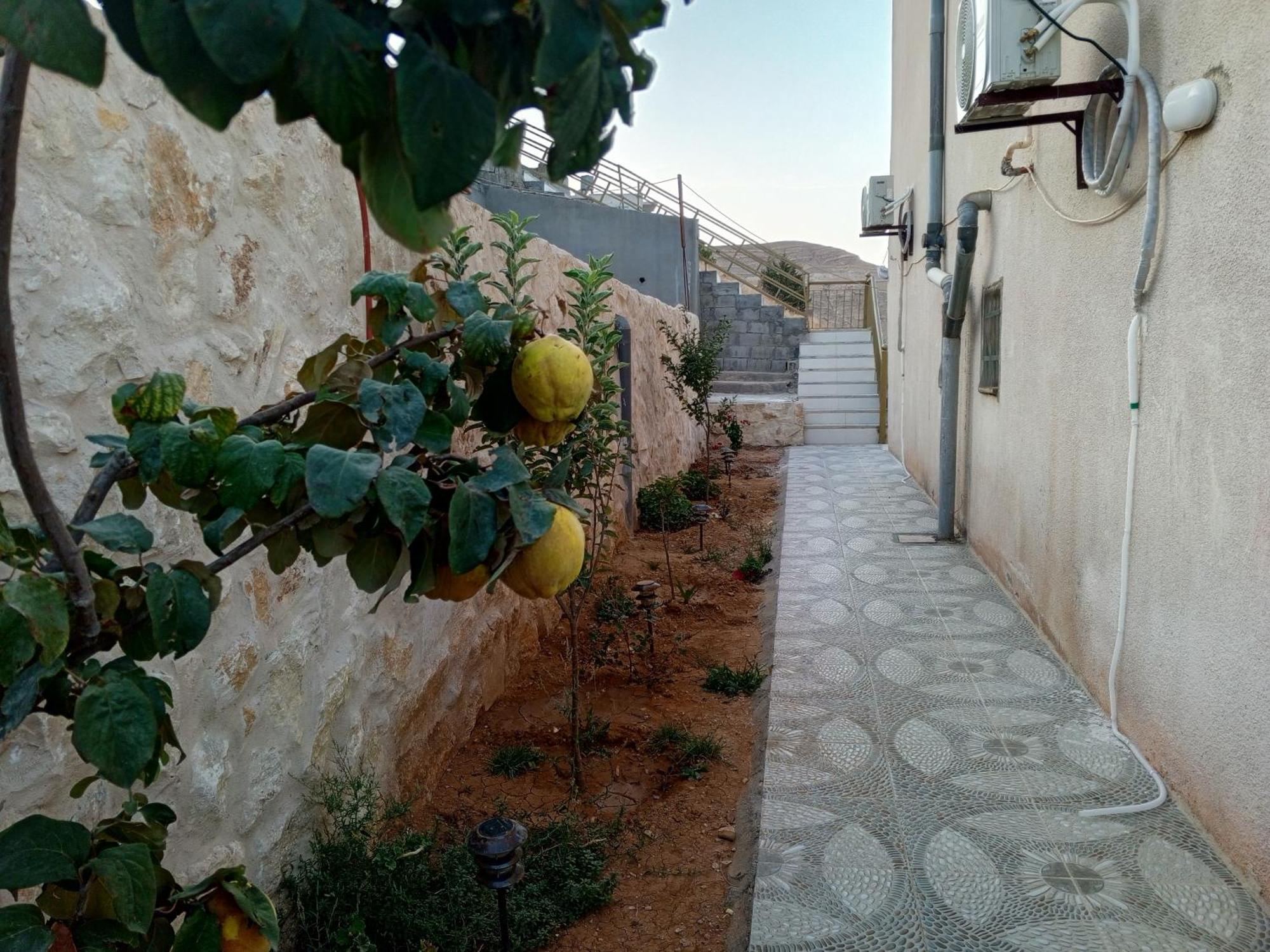 Petra Inn House Wadi Musa Bagian luar foto
